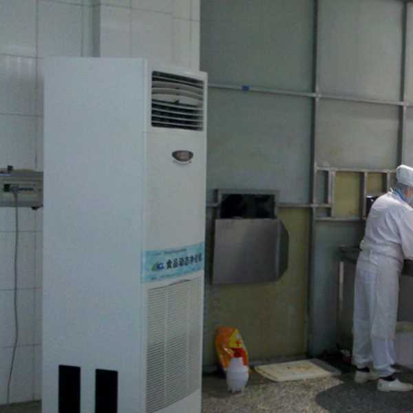 湛江食品正负离子空气杀菌器